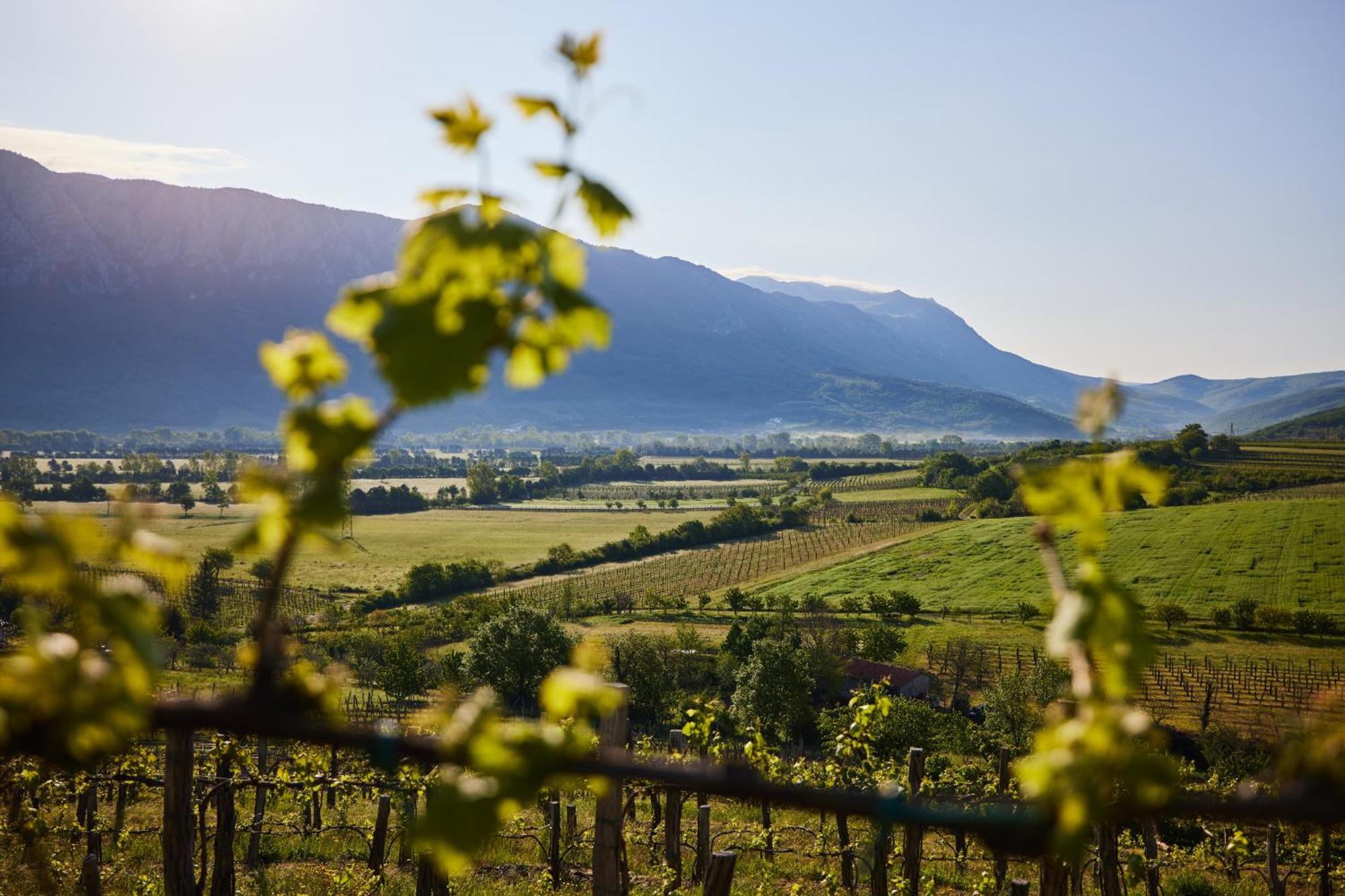 Fine Rooms Vipava Exterior photo